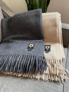 two blankets sitting on top of a couch next to a potted plant