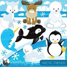 arctic animals and penguins clipart set