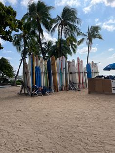 a row of surfboards sitting on top of a sandy beach next to palm trees