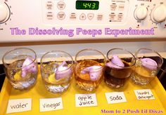 the dissolving peps experiment is on display in front of a microwave oven