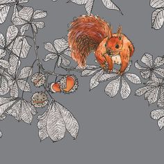 a drawing of a squirrel on a branch with leaves and acorns in the background