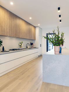 a kitchen with wooden flooring and white counter tops next to a planter on the island