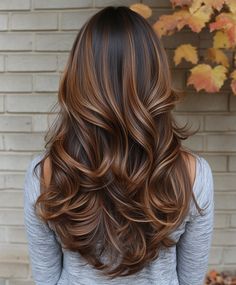 warm Honey Highlights Hair Dye Ideas For Brunettes Highlights, Hair Color Ideas For Brunettes Spring, Dark Hair Highlights And Lowlights, Warm Highlights On Dark Hair, Warm Honey Highlights, Hair Colors For Dark Hair, Fall Hair Colors For Brunettes, Dark Hair Color Ideas, Dark Fall Hair Colors