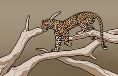 a drawing of a leopard on a tree branch