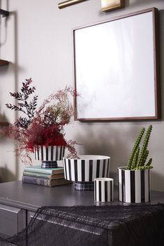 three black and white striped planters sitting on top of a table next to books