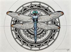 a drawing of a dragonfly sitting on top of a circular design in black and white