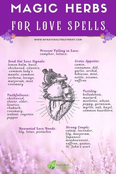 Herbs For Love Spells, Herbs For Love, Easy Love Spells, Magickal Herbs, Witch Herbs, Spells For Beginners, Jar Spells