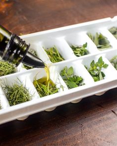 a tray filled with herbs and an olive oil bottle