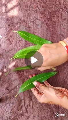 two hands holding green leaves on top of a wooden table with the words, how to make hendi tattoos?