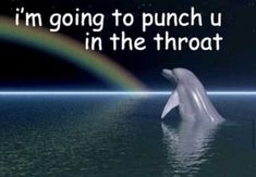 a dolphin jumping out of the water with a rainbow in the background that says, i'm going to punch u in the throat