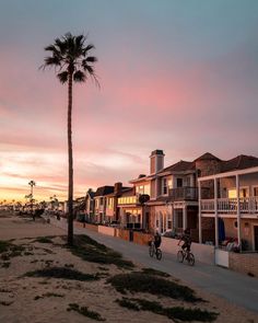 two bicyclists ride down the beach road at sunset with palm trees in the foreground