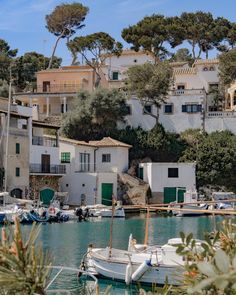 boats are docked in the water next to buildings on a hill side with pine trees