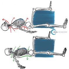 the skeleton is lying on its side and has three different angles to show it's position