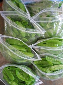 several plastic bags filled with green peppers