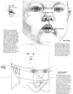 an image of a baby's face and head, with the diagram below it