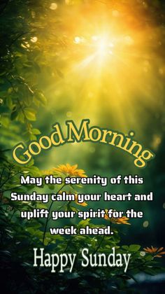 the sun shines brightly in the background and says, good morning may the serenity of this sunday calm your heart and uplift your spirit for the week ahead