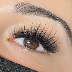 For lashmakers on Instagram: “@bri_thelashartist #lashextensions #eyelashes #eyelashextensions #extensions #lashes #calabasas #classiclashes #losangeles #striplashlook…” Lash Content, Lash Ideas, Lash Maps, Parts Of The Eye, Mink Eyelash Extensions