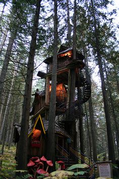 a tree house in the woods with stairs leading up to it