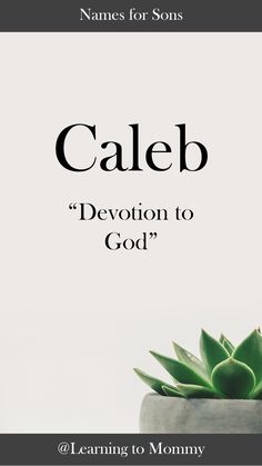 a potted plant with the words caleb written on it and an image of a succulent