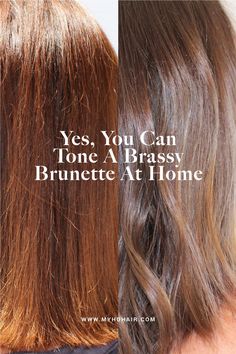 Yes, You Can Tone A Brassy Brunette At Home
Brunettes suffer from the nasty brassies too, but don’t worry—say goodbye to unwanted Warm Tones and hello to a Cooler, more balanced Brunette. Toner For Brown Hair, Box Hair Dye, Medium Brunette Hair, How To Dye Hair At Home, Dark Blonde Hair Color