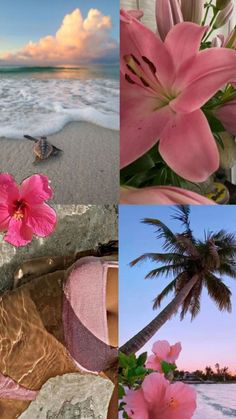 pink flowers and palm trees on the beach