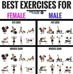 an image of a man doing exercises with dumbbells and barbells in different positions