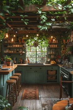 a kitchen with lots of plants hanging from the ceiling and green cabinetry on the walls