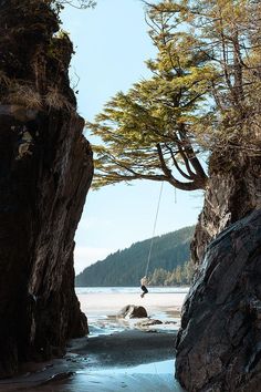 A woman swinging on a rope at the beach. Bc Camping, Travel Vancouver, Pnw Travel, Revelstoke Bc, Victoria Vancouver Island, Vancouver Island Canada, Island Town