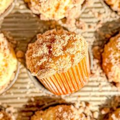 several muffins with powdered sugar on top