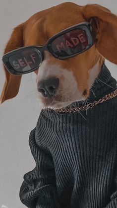 a dog wearing glasses with the words self made written on them