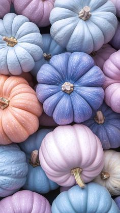 there are many different colored pumpkins together