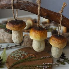 three mushrooms hanging from a tree branch on a table with other items around them and leaves