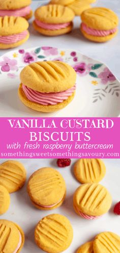 vanilla custard biscuits with fresh raspberry buttercream on a plate