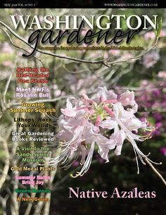 the front cover of washington gardener magazine with pink flowers in bloom and green leaves on it