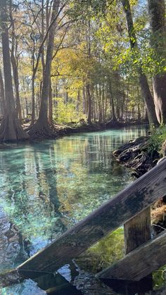 the water is crystal blue and clear in this area with trees on both sides, along with wooden railings