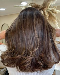 Seamless Balayage Brunettes, Golden Brown Balayage On Black Hair, Highlights Caramel Brown Hair, Caramel Balayage On Short Hair, Balayage Vs Highlights Brunettes, Highlight Vs Balayage, Honey Brown Hair Balayage, Balayage For Dark Brown Hair Caramel, Foilyage Hair Brunettes