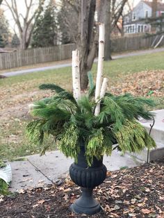 a black vase filled with green plants on top of a dirt ground next to a tree