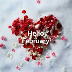 the words hello february are surrounded by rose petals and petals scattered on top of it