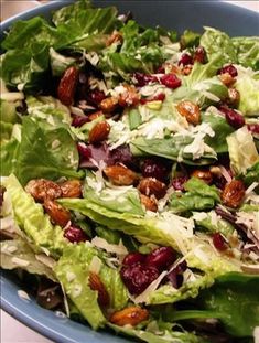 a salad with lettuce and cranberries in a blue bowl on a table