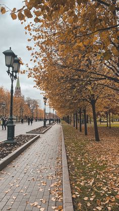 people walking down the sidewalk in an autumn park