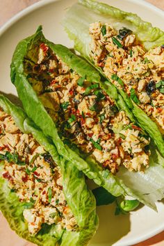 two lettuce wraps with chicken and seasoning on them sitting on a white plate