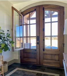 a large wooden door sitting inside of a room next to a plant on top of a table