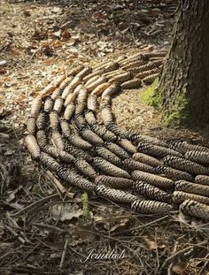 a pile of tires sitting next to a tree on the ground in front of a forest