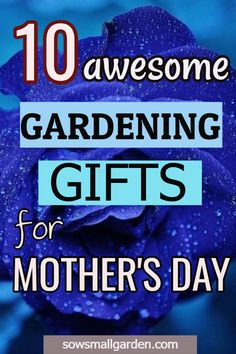 blue rose with the words 10 awesome gardening gifts for mother's day on it