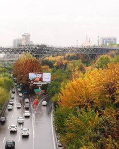 cars are driving down the road in front of an overpass and trees with yellow leaves