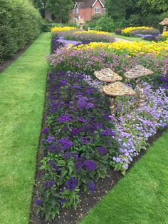 a garden filled with lots of purple and yellow flowers next to a lush green field