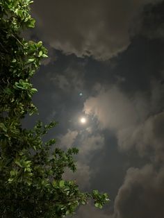 the moon is shining brightly in the cloudy sky above some green leaves and trees, with dark clouds behind it