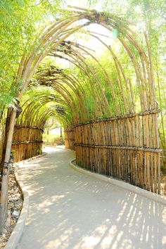 the walkway is lined with bamboo trees and has a circular arch over it to provide shade