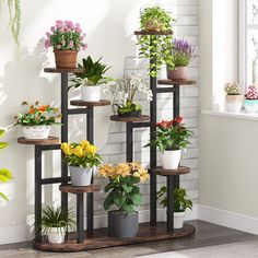 three shelves with plants on them against a wall