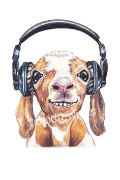 Colored pencil drawing of a cute goat listening to music on his headphones Listening To Headphones, Pencil Crayon Drawing, Happy Goat, Goats Funny, Pencil Crayon, Funny Cats And Dogs